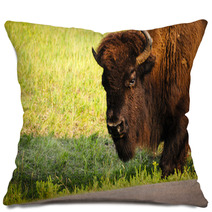 Buffalo Pillows 61538318