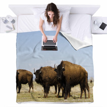 Buffalo Ranch Blankets 52082786