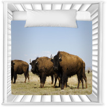 Buffalo Ranch Nursery Decor 52082786