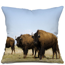 Buffalo Ranch Pillows 52082786