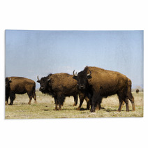 Buffalo Ranch Rugs 52082786
