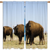 Buffalo Ranch Window Curtains 52082786
