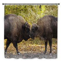 Buffaloes Sniffing Each Other Bath Decor 64022119