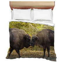 Buffaloes Sniffing Each Other Bedding 64022119