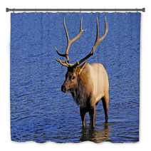 Bull Elk Bath Decor 53291161