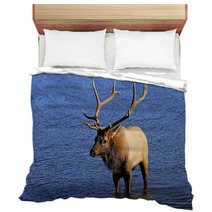 Bull Elk Bedding 53291161