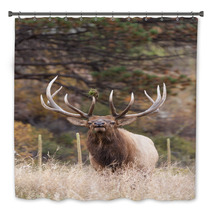 Bull Elk Bugling Bath Decor 70682633