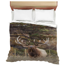 Bull Elk Bugling Bedding 70682633