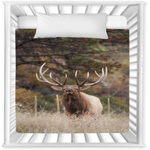 Bull Elk Bugling Nursery Decor 70682633