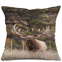 Bull Elk Bugling Pillows 70682633