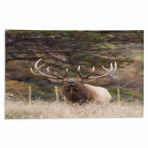 Bull Elk Bugling Rugs 70682633