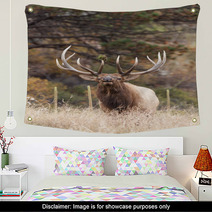 Bull Elk Bugling Wall Art 70682633