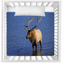Bull Elk Nursery Decor 53291161