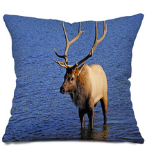 Bull Elk Pillows 53291161