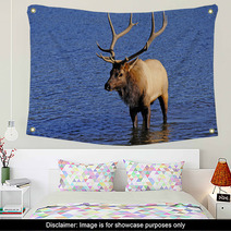 Bull Elk Wall Art 53291161