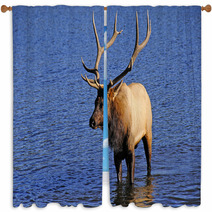 Bull Elk Window Curtains 53291161