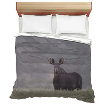 Bull Moose In Fog Bedding 57603398