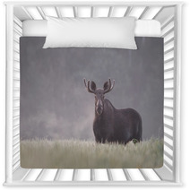 Bull Moose In Fog Nursery Decor 57603398