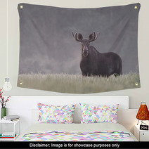 Bull Moose In Fog Wall Art 57603398