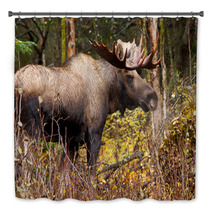 Bull Moose In Nature Brown Forest Bath Decor 58265313
