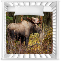 Bull Moose In Nature Brown Forest Nursery Decor 58265313