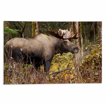 Bull Moose In Nature Brown Forest Rugs 58265313