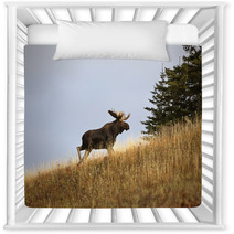 Bull Moose In The Cypress Hills Park Nursery Decor 29727393