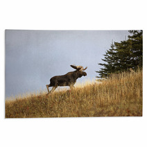Bull Moose In The Cypress Hills Park Rugs 29727393