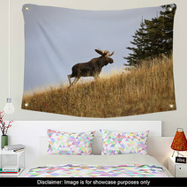 Bull Moose In The Cypress Hills Park Wall Art 29727393