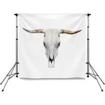 Bull Skull - Top View, Isolated Backdrops 52110417