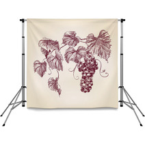 Bunch Of  Grapes Backdrops 46929873