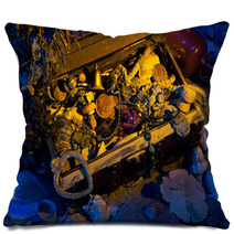 Buried Sea Tresure Pillows 64736103
