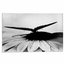 Butterfly On Flower Rugs 64652284