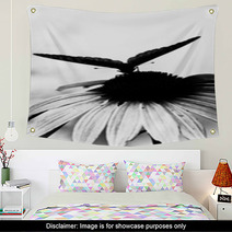 Butterfly On Flower Wall Art 64652284