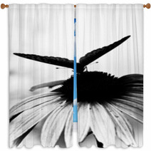 Butterfly On Flower Window Curtains 64652284