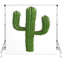 Cactus Backdrops 34523619