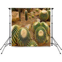 Cactus Garden Backdrops 67917764