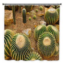 Cactus Garden Bath Decor 67917764