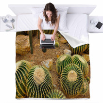 Cactus Garden Blankets 67917764