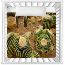 Cactus Garden Nursery Decor 67917764