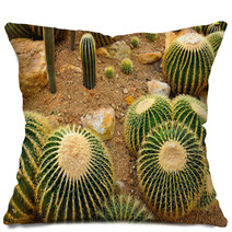 Cactus Garden Pillows 67917764