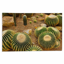 Cactus Garden Rugs 67917764