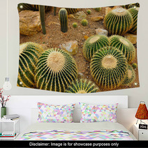 Cactus Garden Wall Art 67917764