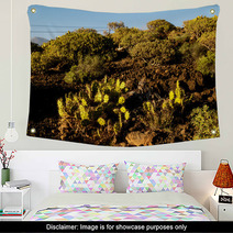 Cactus In The Desert Wall Art 66702257