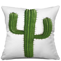 Cactus Pillows 34523619