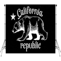 California Republic Bear In Dirty Texture Style Texture Are Easi Backdrops 135522761