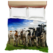 Calves On A Sunny Green Field Bedding 53494211