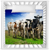 Calves On A Sunny Green Field Nursery Decor 53494211