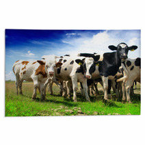 Calves On A Sunny Green Field Rugs 53494211