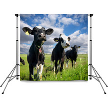 Calves On The Country Field Backdrops 59639069